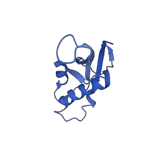 24307_7r81_f1_v1-0
Structure of the translating Neurospora crassa ribosome arrested by cycloheximide