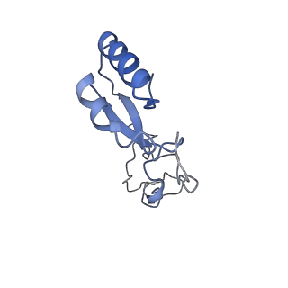 24307_7r81_g1_v1-0
Structure of the translating Neurospora crassa ribosome arrested by cycloheximide