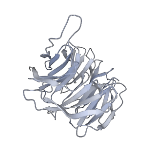 24307_7r81_h2_v1-0
Structure of the translating Neurospora crassa ribosome arrested by cycloheximide