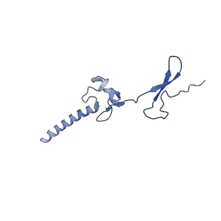 24307_7r81_i1_v1-0
Structure of the translating Neurospora crassa ribosome arrested by cycloheximide