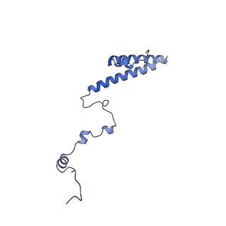 24307_7r81_j1_v1-0
Structure of the translating Neurospora crassa ribosome arrested by cycloheximide