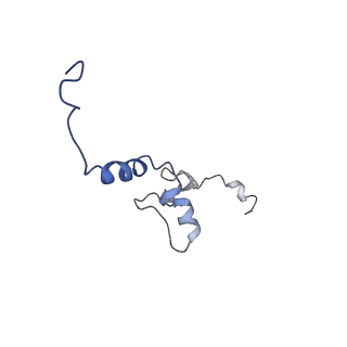 24307_7r81_l1_v1-0
Structure of the translating Neurospora crassa ribosome arrested by cycloheximide