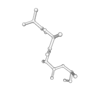 24307_7r81_v1_v1-0
Structure of the translating Neurospora crassa ribosome arrested by cycloheximide