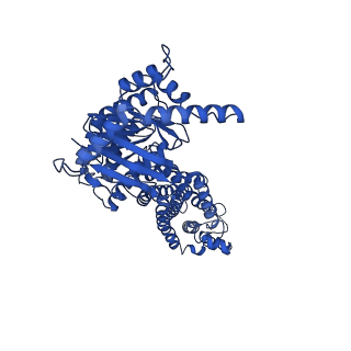 24310_7r87_A_v1-0
The structure of human ABCG5-WT/ABCG8-I419E