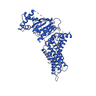 24310_7r87_B_v1-0
The structure of human ABCG5-WT/ABCG8-I419E