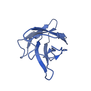 24310_7r87_C_v1-0
The structure of human ABCG5-WT/ABCG8-I419E