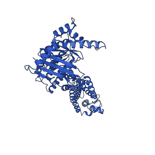 24311_7r88_A_v1-0
The structure of human ABCG5-I529W/ABCG8-WT