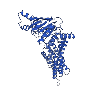 24312_7r89_B_v1-0
The structure of human ABCG5/ABCG8 purified from yeast