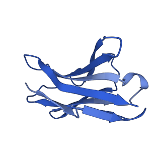 24312_7r89_D_v1-0
The structure of human ABCG5/ABCG8 purified from yeast
