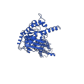 24313_7r8a_A_v1-0
The structure of human ABCG5/ABCG8 purified from mammalian cells