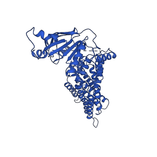 24313_7r8a_B_v1-0
The structure of human ABCG5/ABCG8 purified from mammalian cells