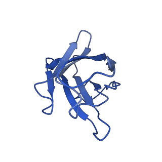 24313_7r8a_C_v1-0
The structure of human ABCG5/ABCG8 purified from mammalian cells
