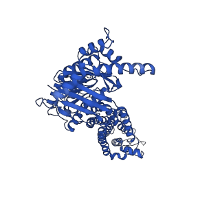 24314_7r8b_A_v1-0
The structure of human ABCG5/ABCG8 supplemented with cholesterol