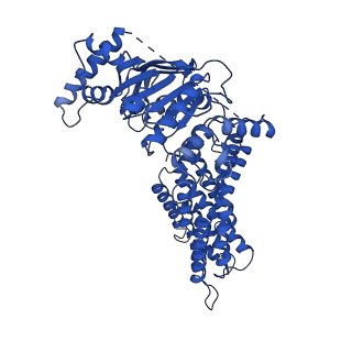 24314_7r8b_B_v1-0
The structure of human ABCG5/ABCG8 supplemented with cholesterol