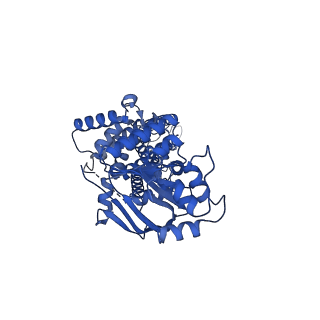 24315_7r8c_A_v1-0
The structure of human ABCG1