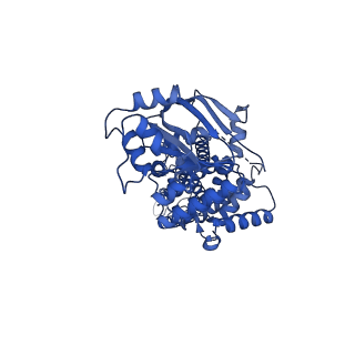 24315_7r8c_B_v1-0
The structure of human ABCG1