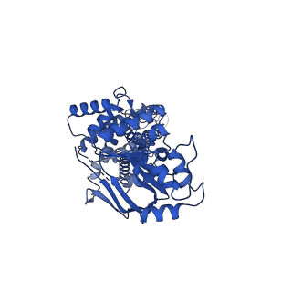 24316_7r8d_A_v1-0
The structure of human ABCG1 E242Q with cholesterol