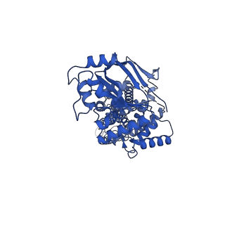 24316_7r8d_B_v1-0
The structure of human ABCG1 E242Q with cholesterol