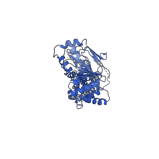 24317_7r8e_A_v1-0
The structure of human ABCG1 E242Q complexed with ATP