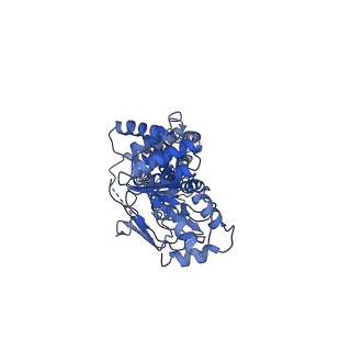 24317_7r8e_B_v1-0
The structure of human ABCG1 E242Q complexed with ATP