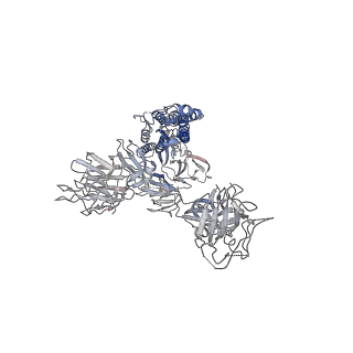 24318_7r8m_A_v1-1
Structure of the SARS-CoV-2 S 6P trimer in complex with neutralizing antibody C032