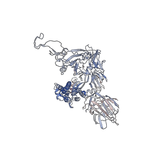 24318_7r8m_B_v1-1
Structure of the SARS-CoV-2 S 6P trimer in complex with neutralizing antibody C032