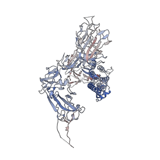 24318_7r8m_C_v1-1
Structure of the SARS-CoV-2 S 6P trimer in complex with neutralizing antibody C032