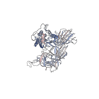 24319_7r8n_B_v1-1
Structure of the SARS-CoV-2 S 6P trimer in complex with neutralizing antibody C051
