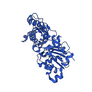 24321_7r8v_A_v1-1
Cryo-EM structure of the ADP state actin filament