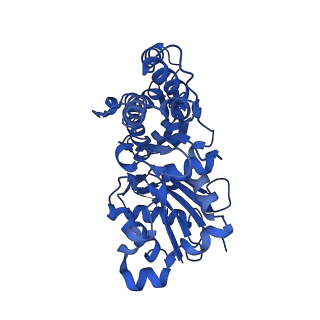 24321_7r8v_B_v1-1
Cryo-EM structure of the ADP state actin filament