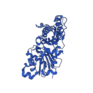 24321_7r8v_C_v1-1
Cryo-EM structure of the ADP state actin filament