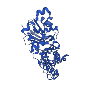 24321_7r8v_D_v1-1
Cryo-EM structure of the ADP state actin filament