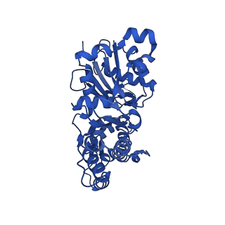 24321_7r8v_E_v1-1
Cryo-EM structure of the ADP state actin filament