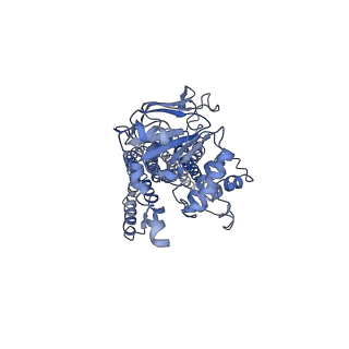 4749_6r81_A_v1-2
Multidrug resistance transporter BmrA mutant E504A bound with ATP and Mg solved by Cryo-EM