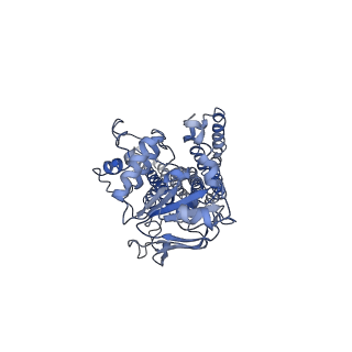 4749_6r81_B_v1-2
Multidrug resistance transporter BmrA mutant E504A bound with ATP and Mg solved by Cryo-EM
