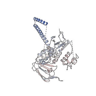 4751_6r84_A_v1-2
Yeast Vms1 (Q295L)-60S ribosomal subunit complex (pre-state with Arb1)