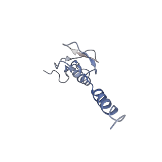 4751_6r84_D_v1-2
Yeast Vms1 (Q295L)-60S ribosomal subunit complex (pre-state with Arb1)