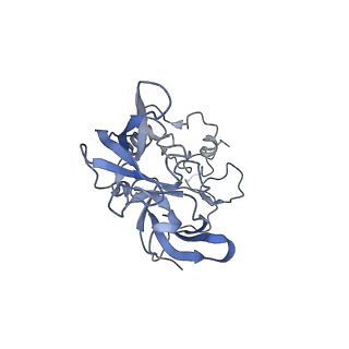 4751_6r84_E_v1-2
Yeast Vms1 (Q295L)-60S ribosomal subunit complex (pre-state with Arb1)