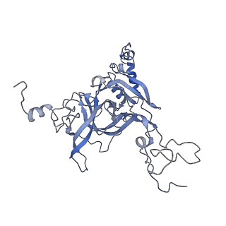 4751_6r84_F_v1-2
Yeast Vms1 (Q295L)-60S ribosomal subunit complex (pre-state with Arb1)