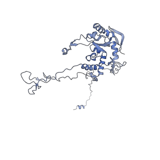 4751_6r84_G_v1-2
Yeast Vms1 (Q295L)-60S ribosomal subunit complex (pre-state with Arb1)