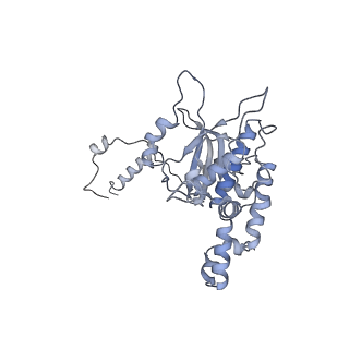 4751_6r84_H_v1-2
Yeast Vms1 (Q295L)-60S ribosomal subunit complex (pre-state with Arb1)