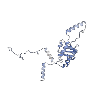 4751_6r84_K_v1-2
Yeast Vms1 (Q295L)-60S ribosomal subunit complex (pre-state with Arb1)