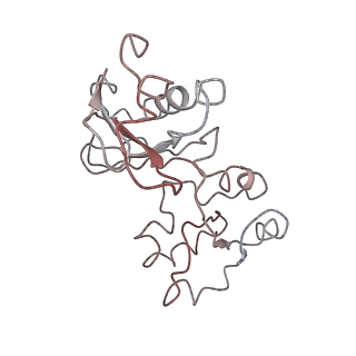 4751_6r84_L_v1-2
Yeast Vms1 (Q295L)-60S ribosomal subunit complex (pre-state with Arb1)