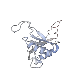 4751_6r84_M_v1-2
Yeast Vms1 (Q295L)-60S ribosomal subunit complex (pre-state with Arb1)