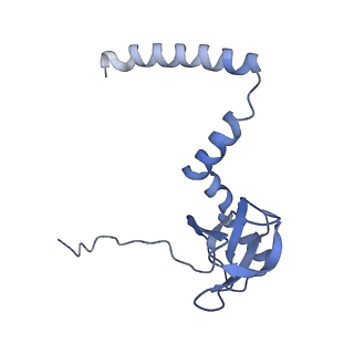 4751_6r84_O_v1-2
Yeast Vms1 (Q295L)-60S ribosomal subunit complex (pre-state with Arb1)