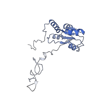 4751_6r84_S_v1-2
Yeast Vms1 (Q295L)-60S ribosomal subunit complex (pre-state with Arb1)