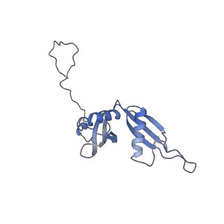 4751_6r84_U_v1-2
Yeast Vms1 (Q295L)-60S ribosomal subunit complex (pre-state with Arb1)