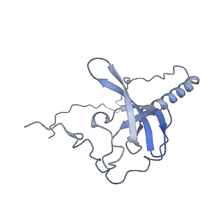 4751_6r84_V_v1-2
Yeast Vms1 (Q295L)-60S ribosomal subunit complex (pre-state with Arb1)