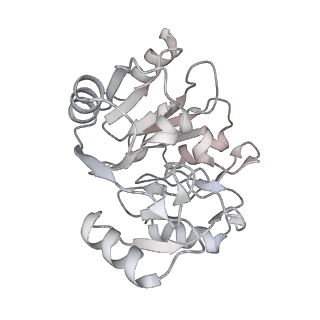 4751_6r84_X_v1-2
Yeast Vms1 (Q295L)-60S ribosomal subunit complex (pre-state with Arb1)
