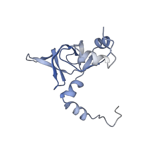 4751_6r84_a_v1-2
Yeast Vms1 (Q295L)-60S ribosomal subunit complex (pre-state with Arb1)